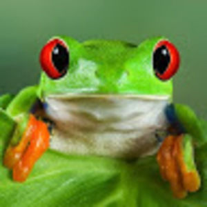 Meet your Posher, Cathy